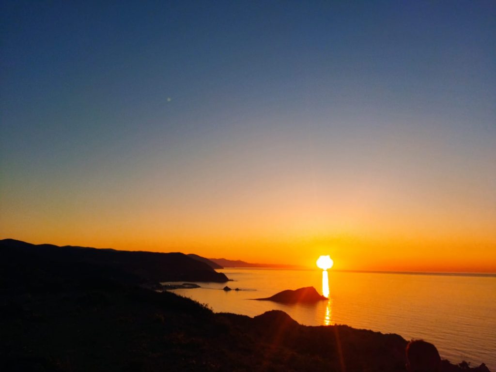 WhatsApp Image 2023-07-11 at 10.57.34